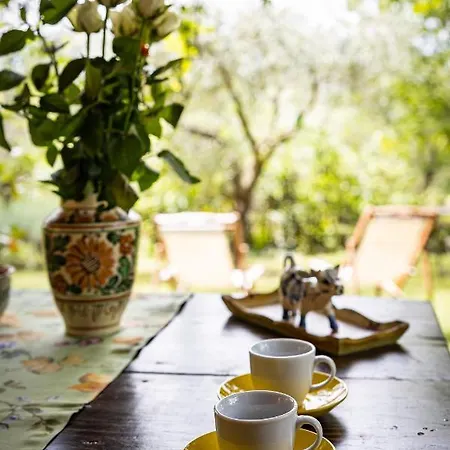 Viadelcampo 住宿加早餐酒店 3*