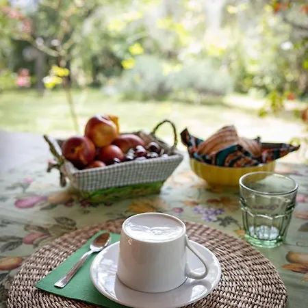 Viadelcampo 蒙特圣维托